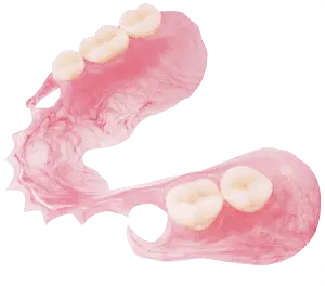 fleible partial denture