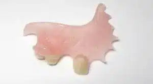 flipper1