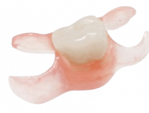 nesbit partial denture