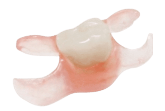 nesbit partial denture